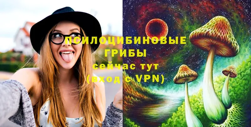 Псилоцибиновые грибы Cubensis  kraken зеркало  Белореченск 